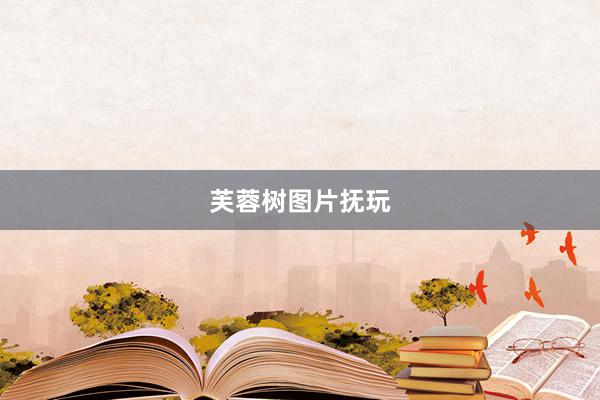 芙蓉树图片抚玩