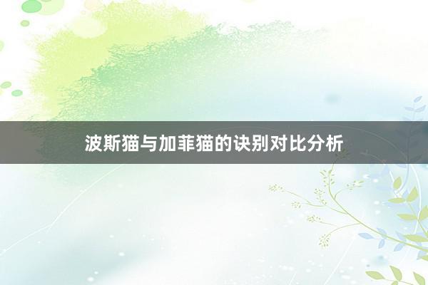 波斯猫与加菲猫的诀别对比分析