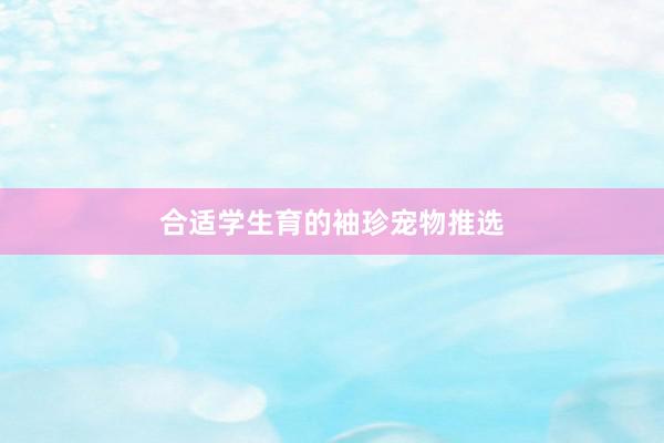 合适学生育的袖珍宠物推选