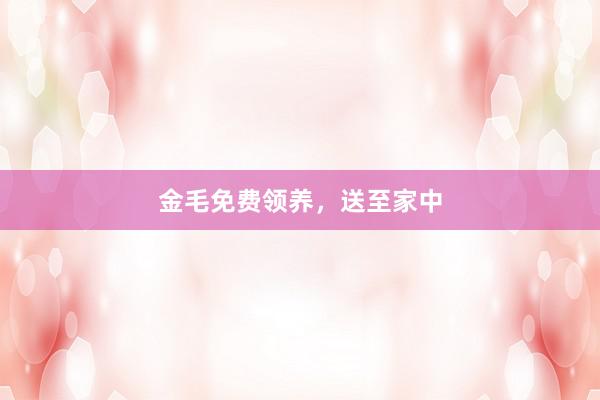 金毛免费领养，送至家中